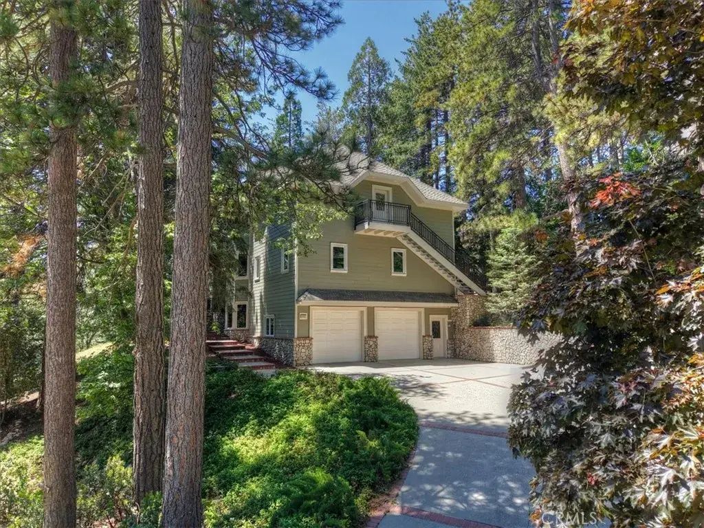 248 Squirrel, Lake Arrowhead