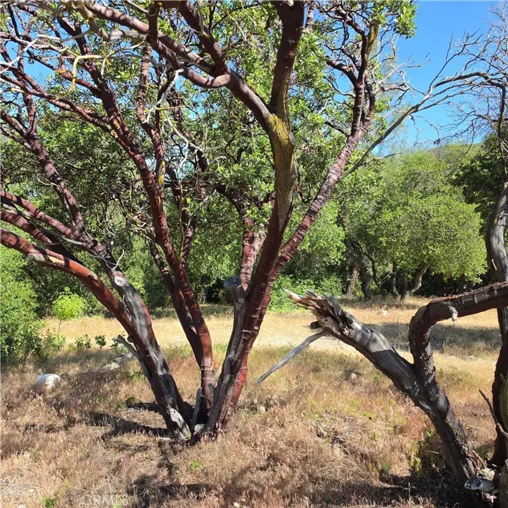 3367 3rd, Clearlake