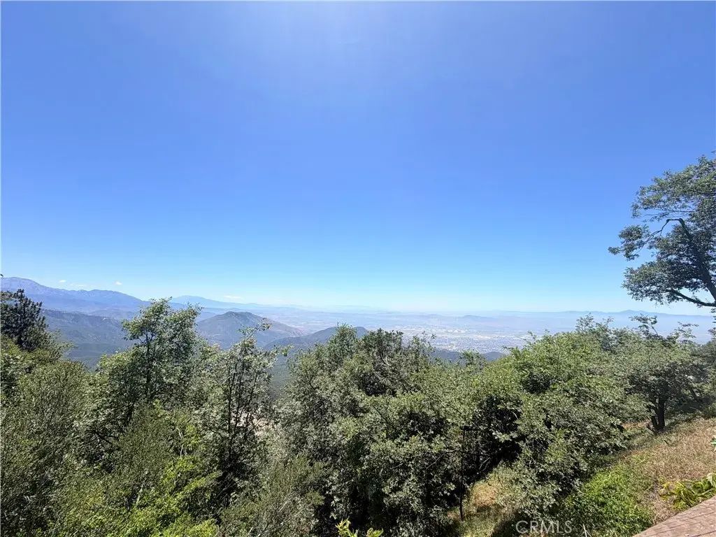 26465 Apache, Rimforest
