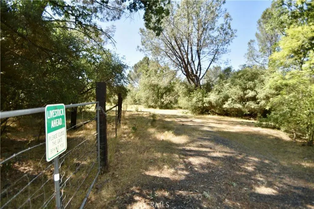 Maple, Oroville