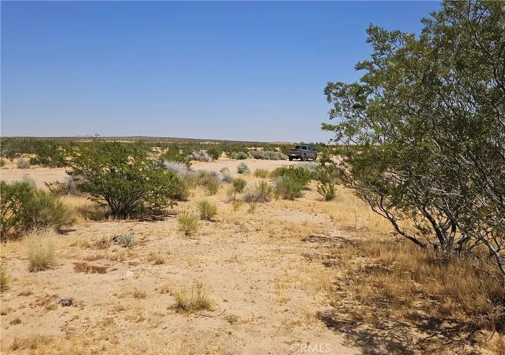 Rudnick, California City
