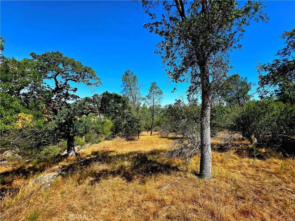 2 Corral, Coarsegold