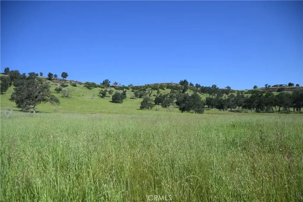 Cobble Creek, Butte Valley