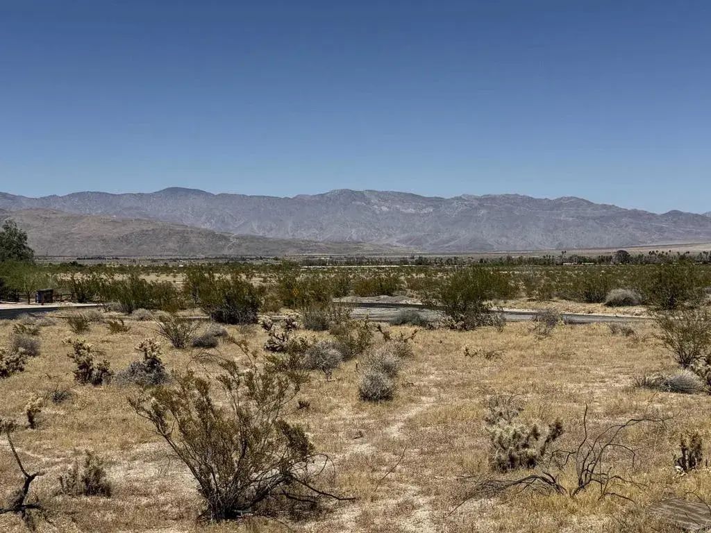 El Tejon, Borrego Springs