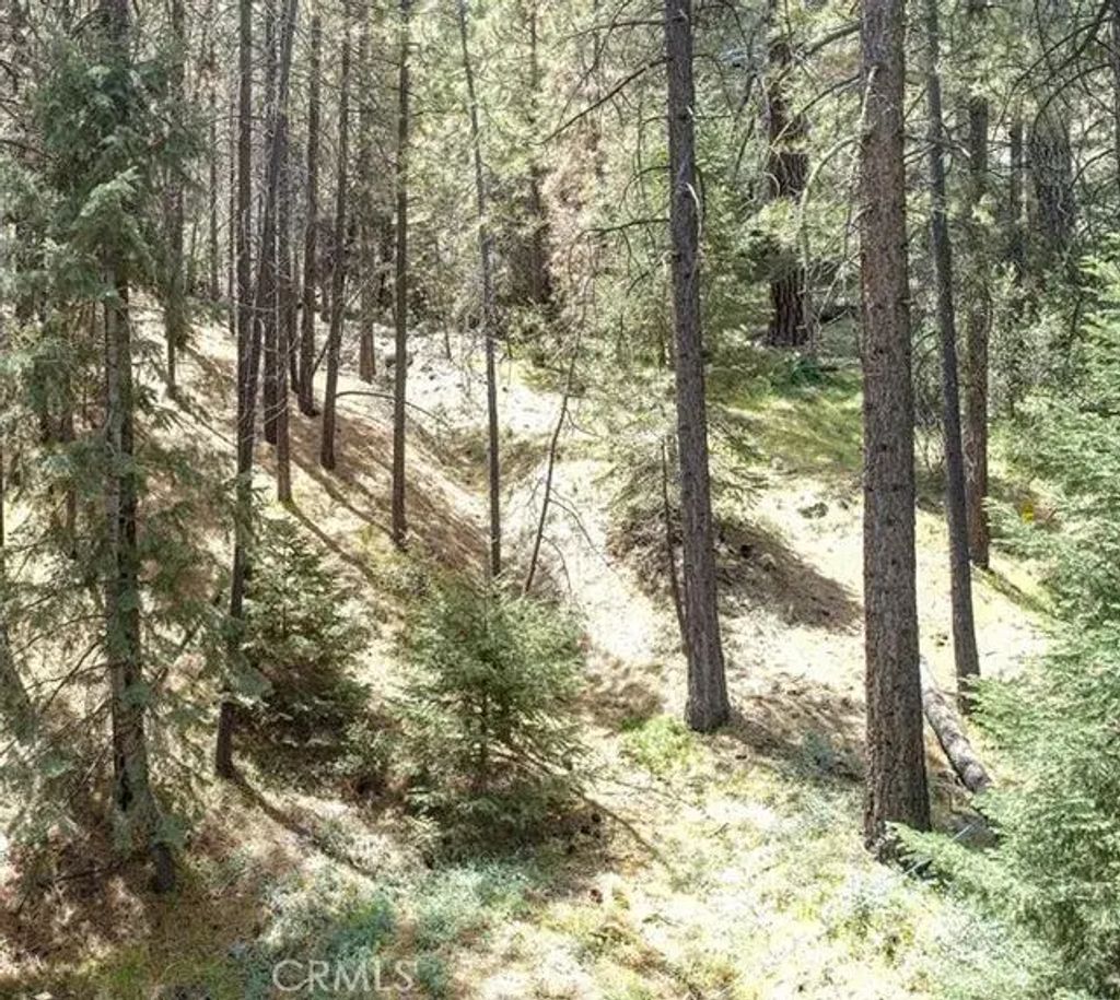1316 Zermatt Court, Pine Mountain Club