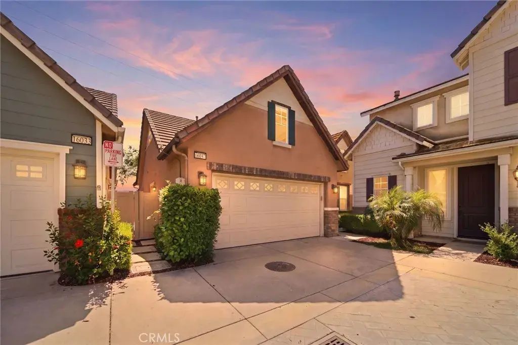 16047 Begonia, Chino