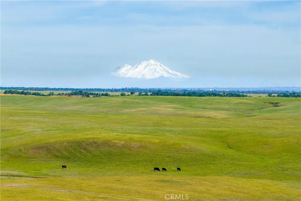 Rancho Tehama, Red Bluff