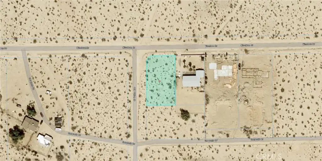 Nicolson, 29 Palms