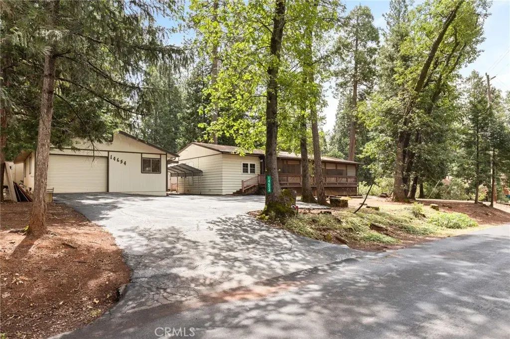 14654 Carnegie, Magalia