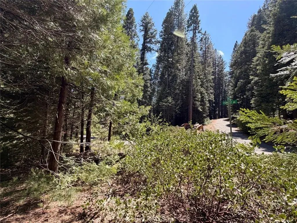 7631 Forest, Fish Camp