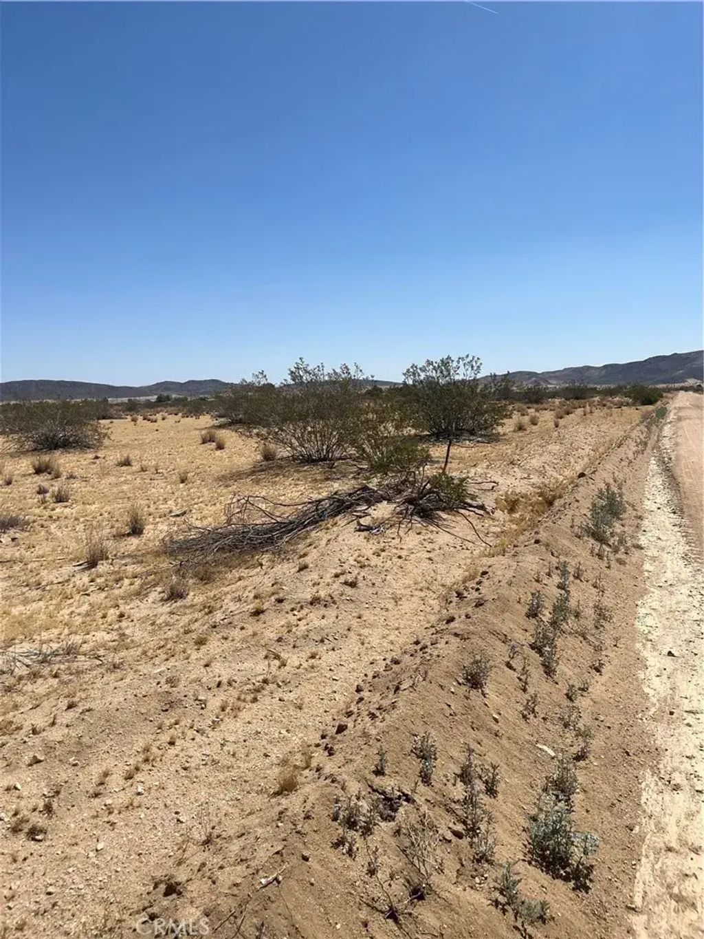 Division, Joshua Tree
