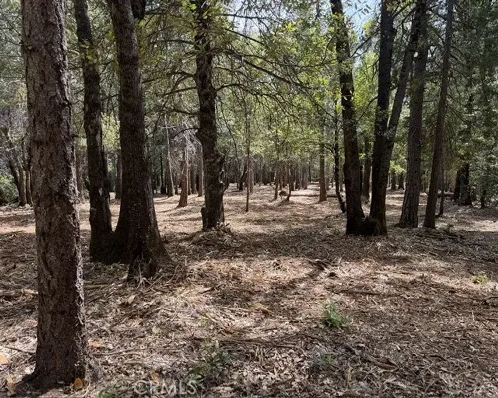 Platt Mountain, Forest Ranch
