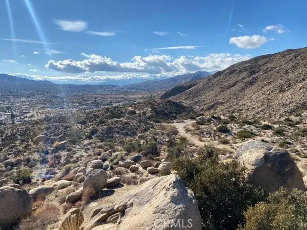 5952913 Palm, Yucca Valley