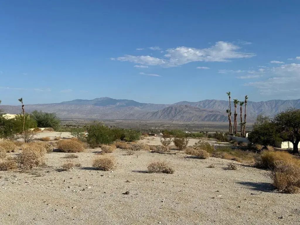 Ironwood, Borrego Springs