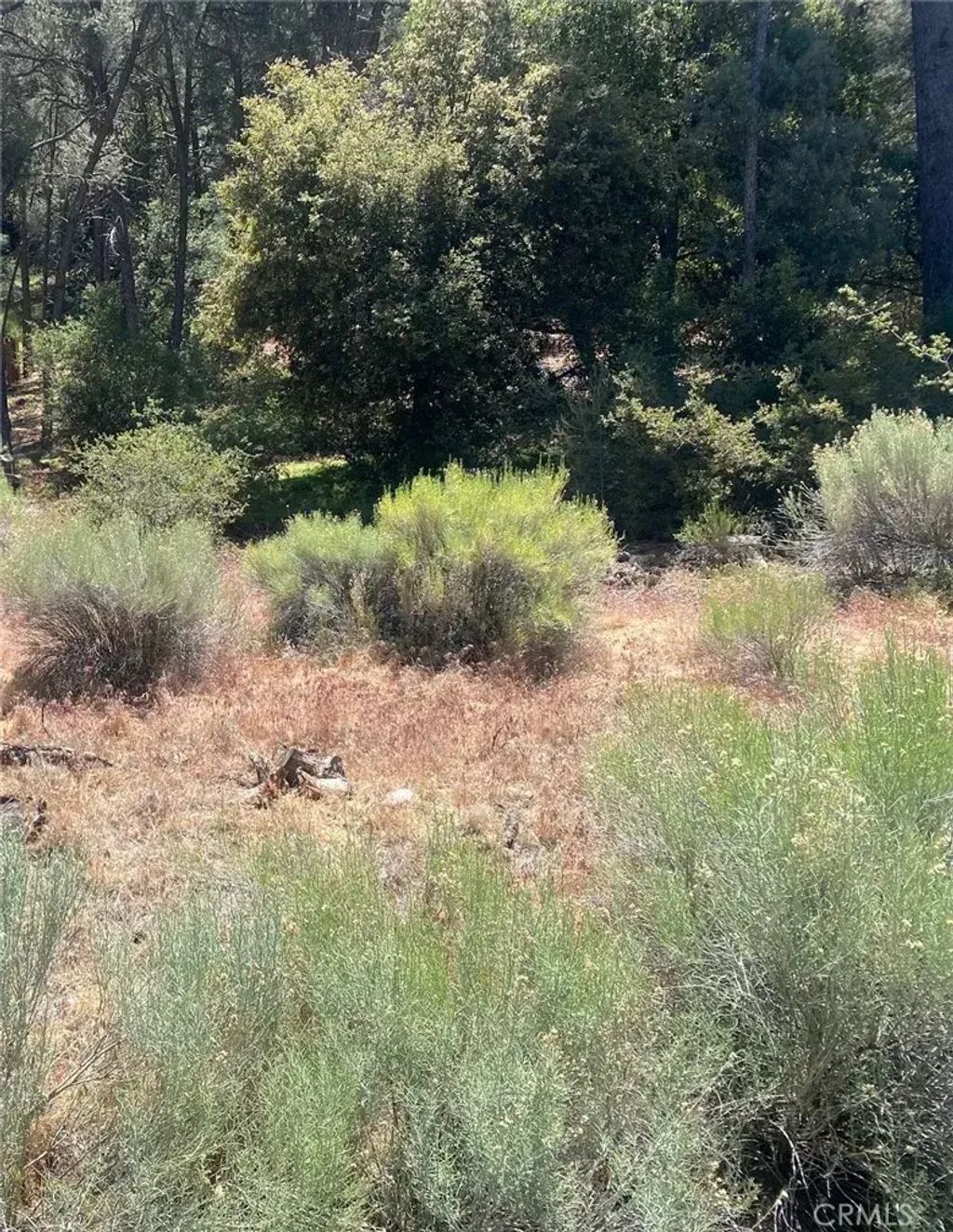 13708 Yellowstone, Frazier Park