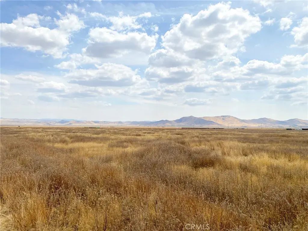 Burney, Santa Margarita