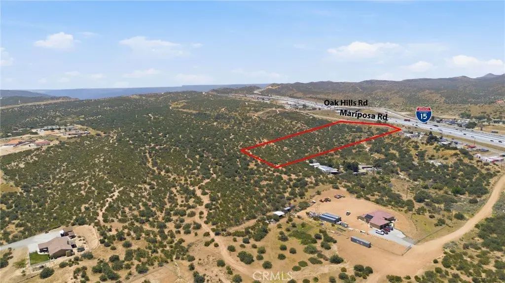 Mariposa, Hesperia