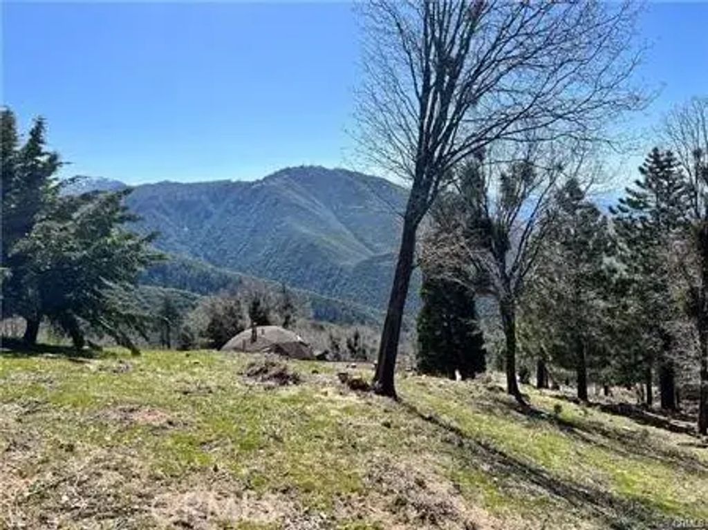 41 Fredalba, Running Springs
