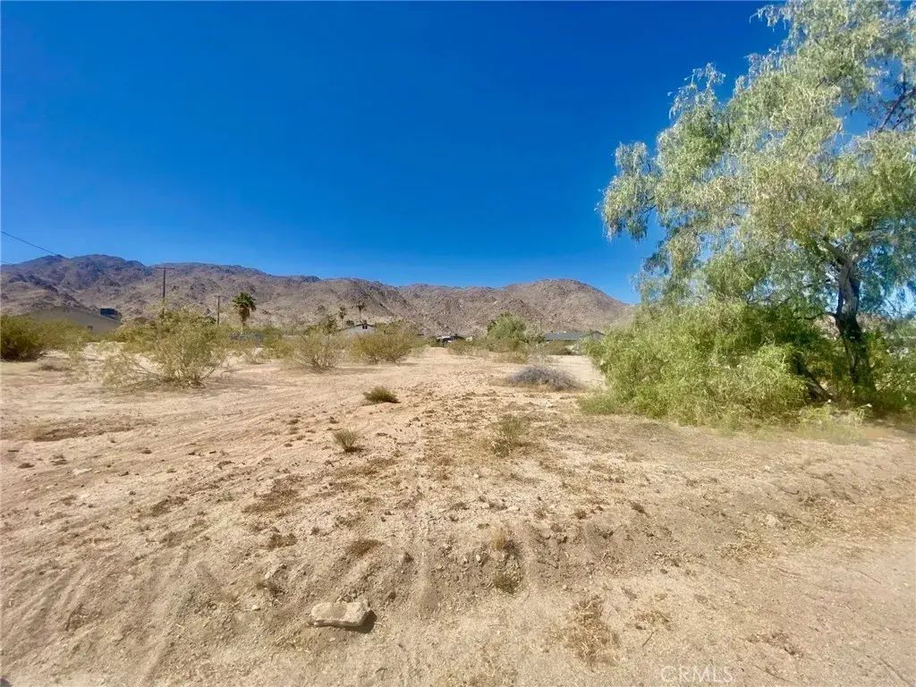 Sullivan, 29 Palms