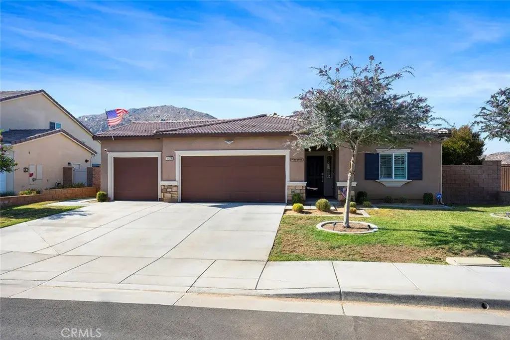 31228 Scrub Jay, Winchester