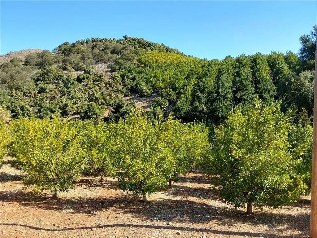 3 Via Vaquero, Temecula