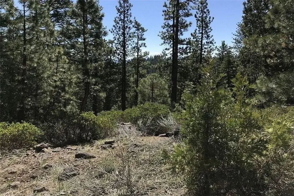 Falcon Road, California Pines