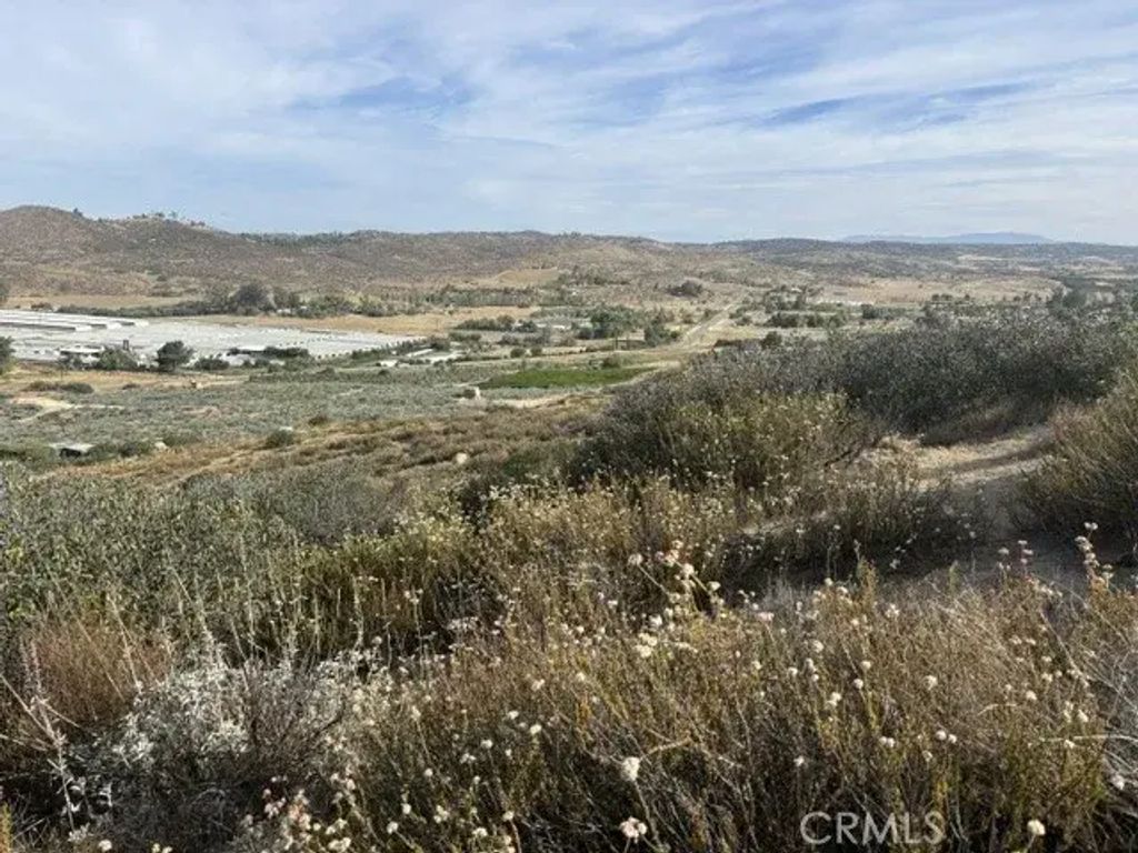 17 Ginter, Hemet