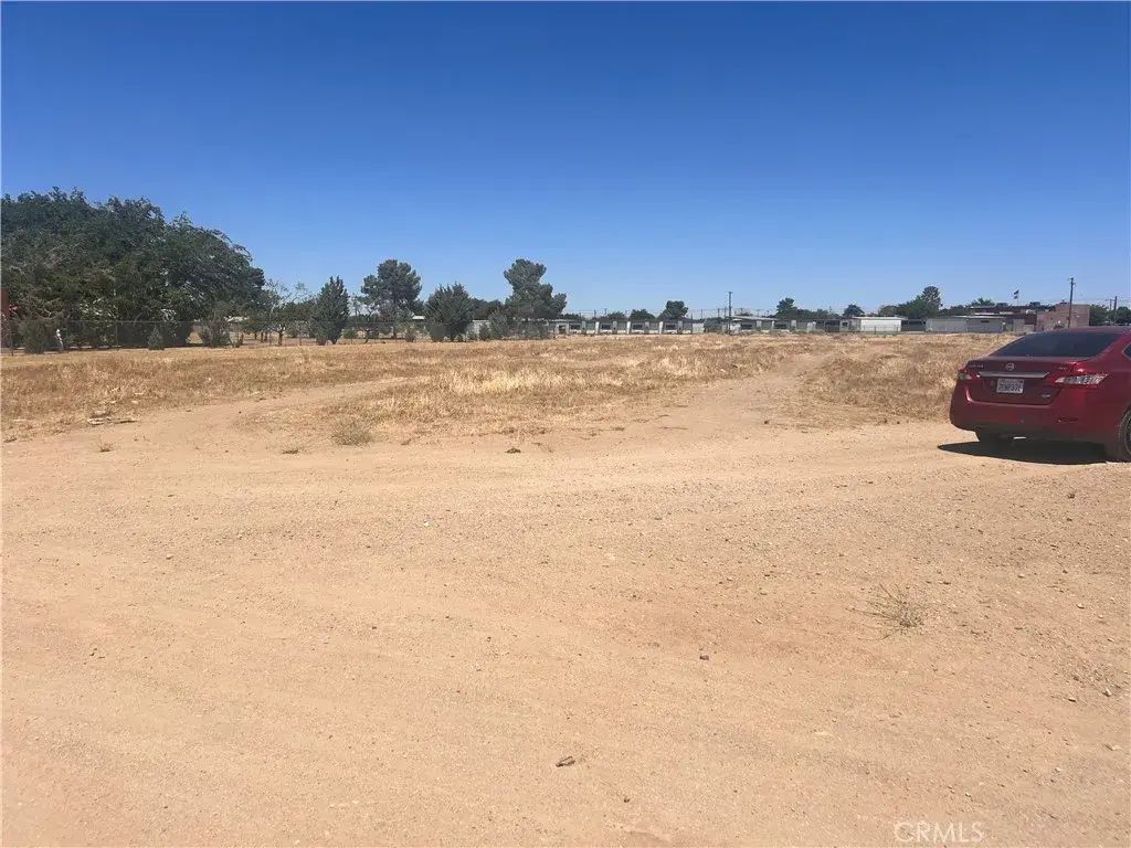 Avenue Q5, Palmdale