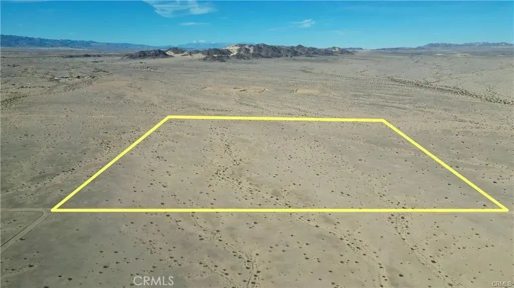 Wilson, 29 Palms