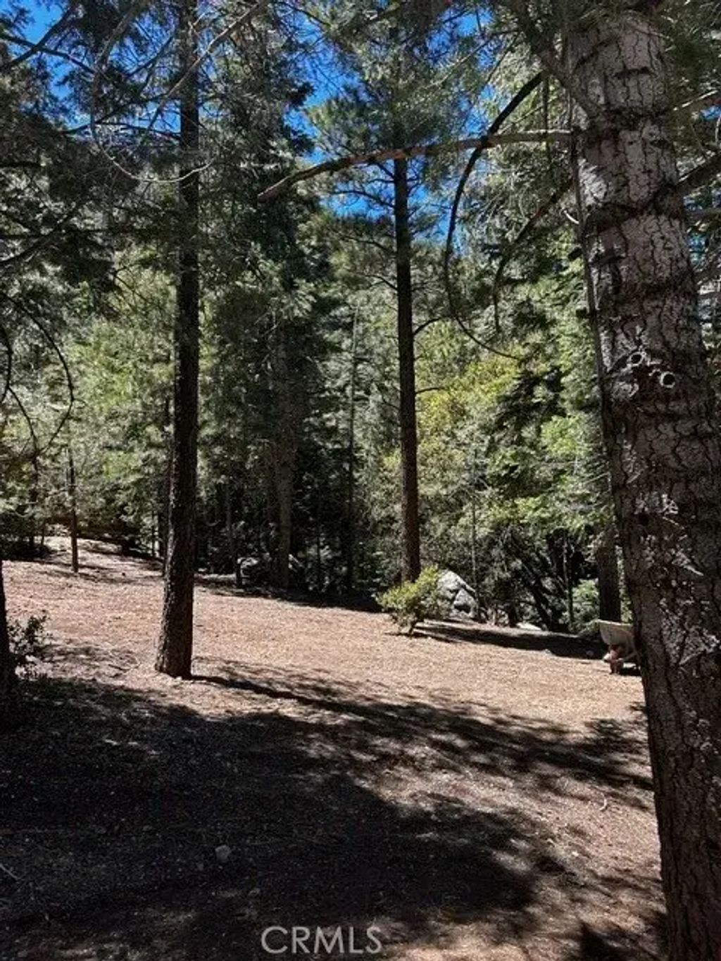 1221 Azalea Dr, Pine Mountain Club