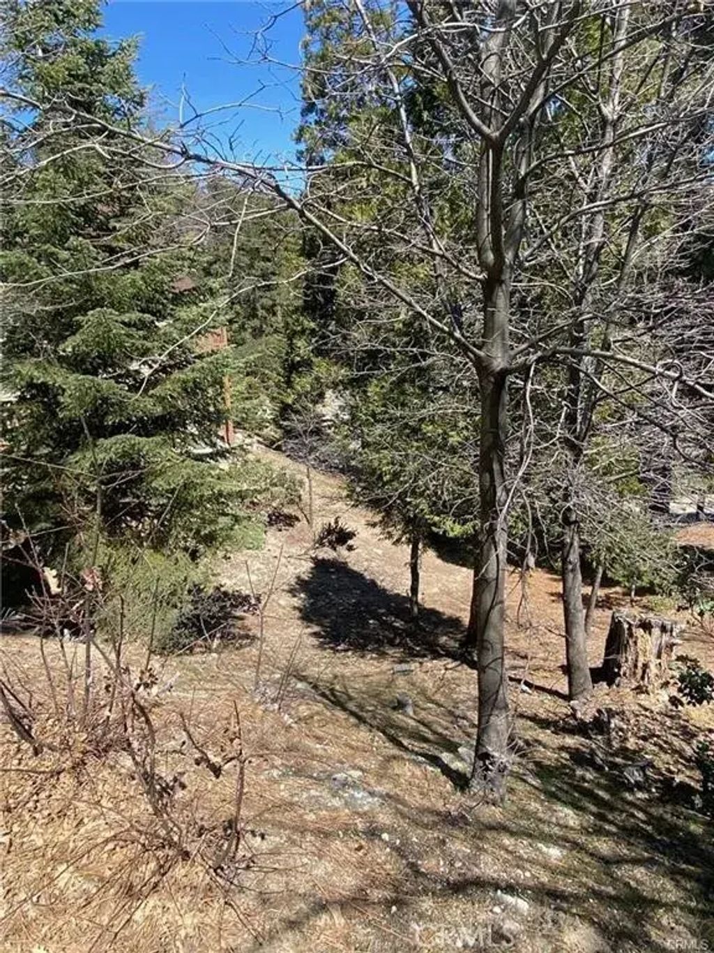 Circle, Lake Arrowhead