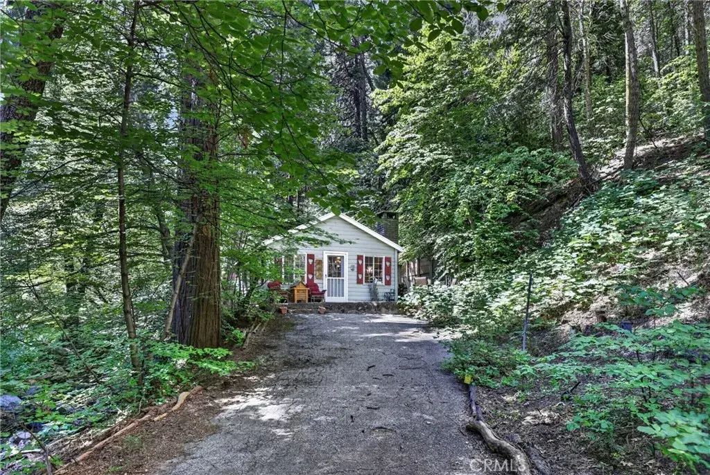 501 Dogwood Canyon, Blue Jay