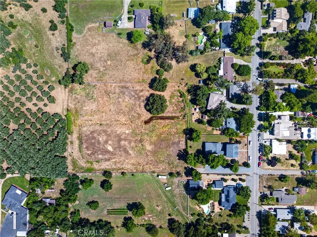 Walnut, Orangevale