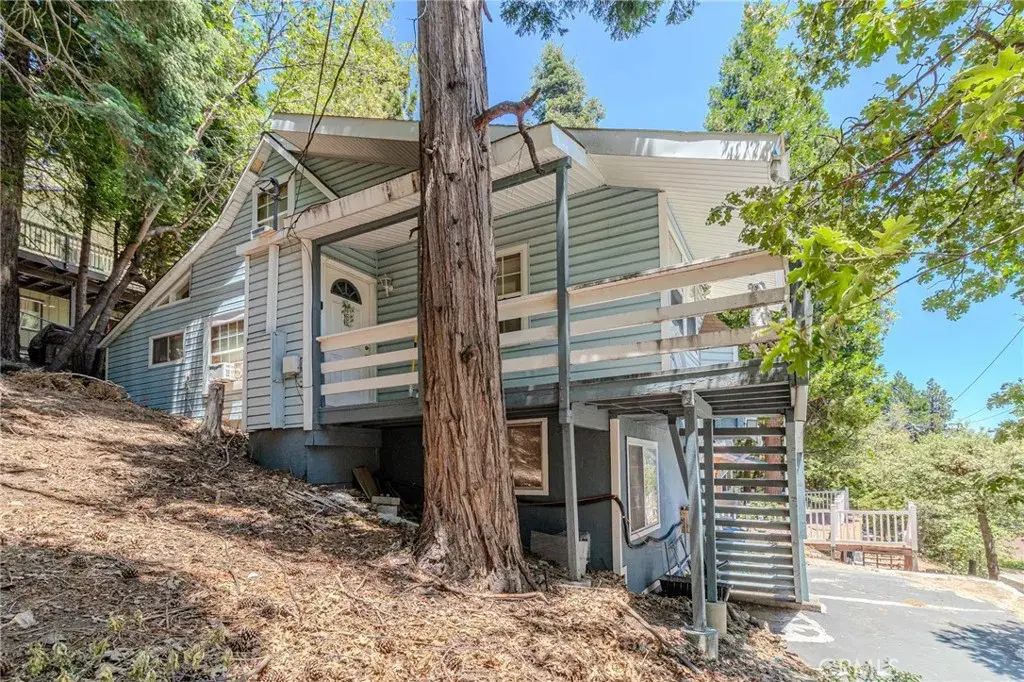 1223 Bear Springs, Rimforest
