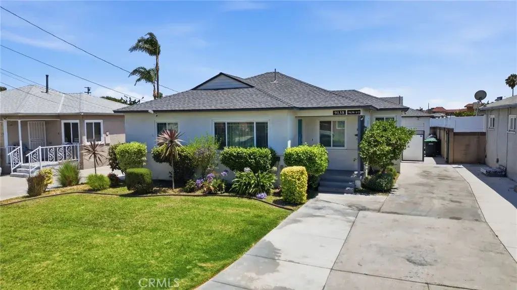 9138 Rendalia, Bellflower