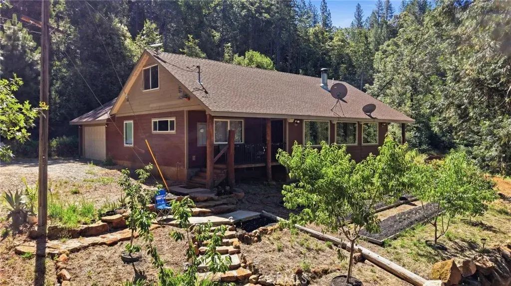 40 White Fir, Oroville