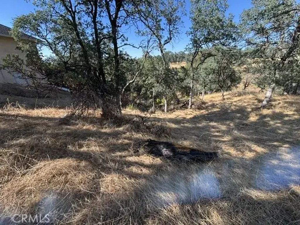 19932 Freshwater, Cottonwood