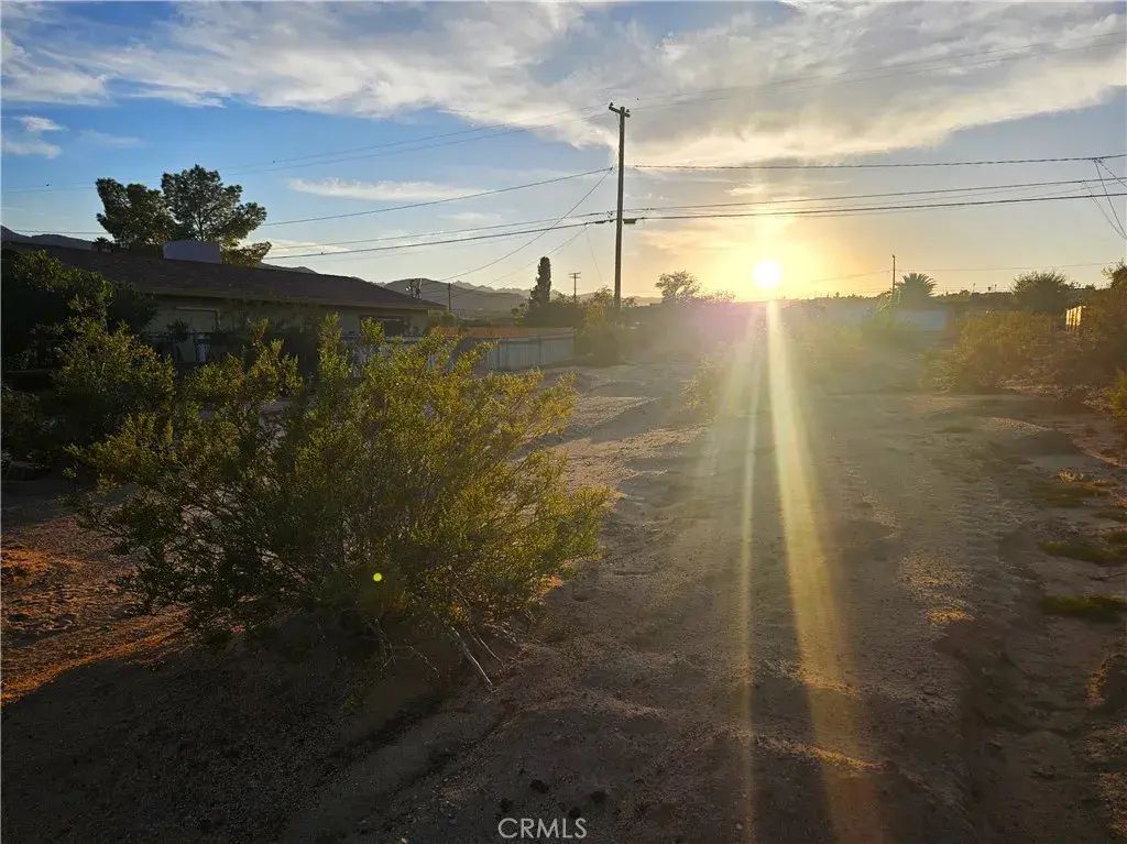 6180 Chia, 29 Palms