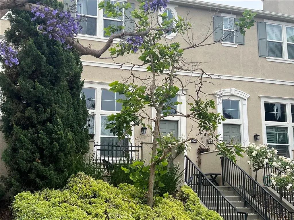 42 Fringe Tree, Irvine