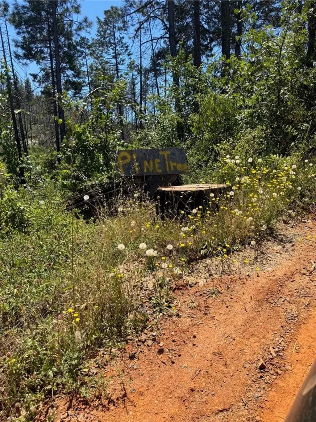 31 Rip Van, Berry Creek