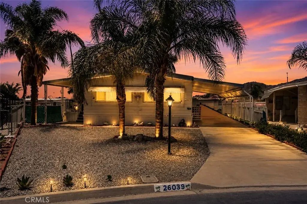 26039 Sago Palm, Homeland