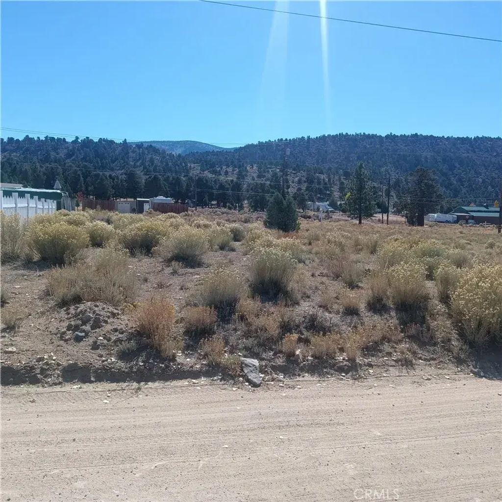 777 Old Pioneer Town, Baldwin Lake