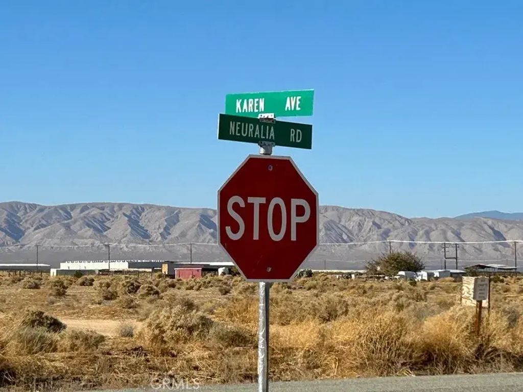 2880 Neuralia, California City