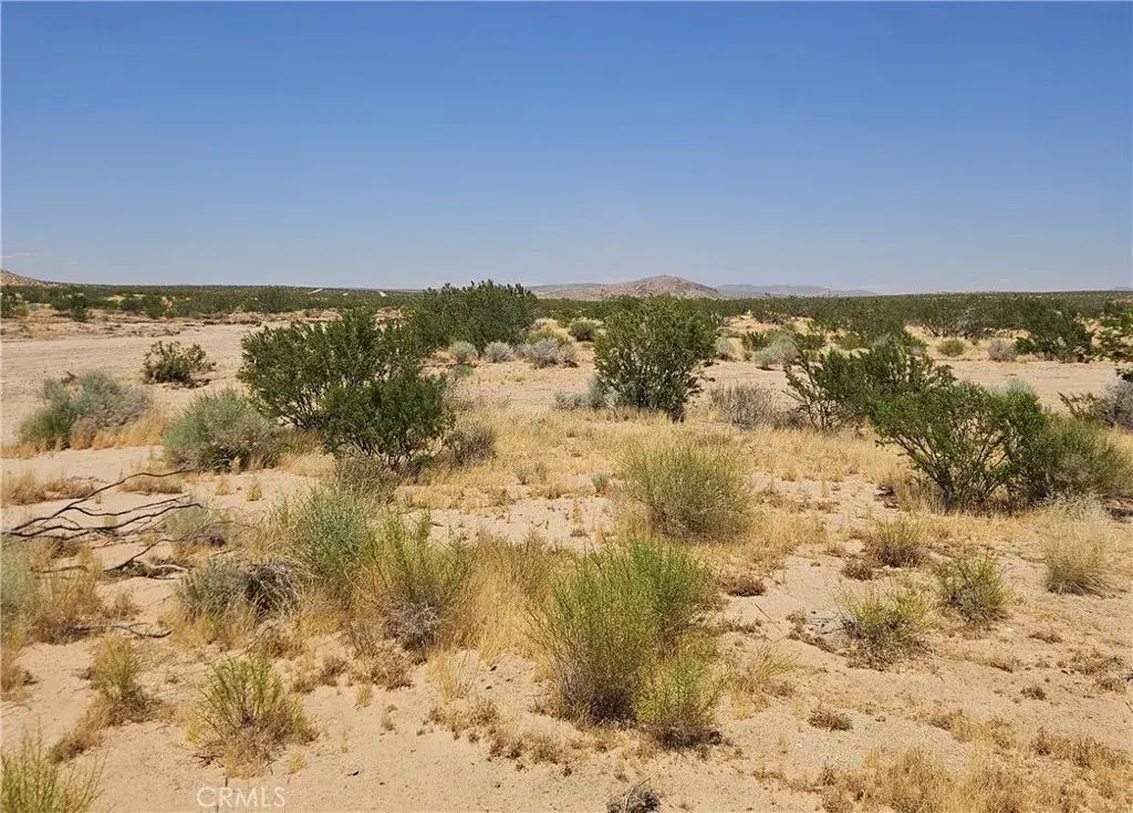 Pepper, California City