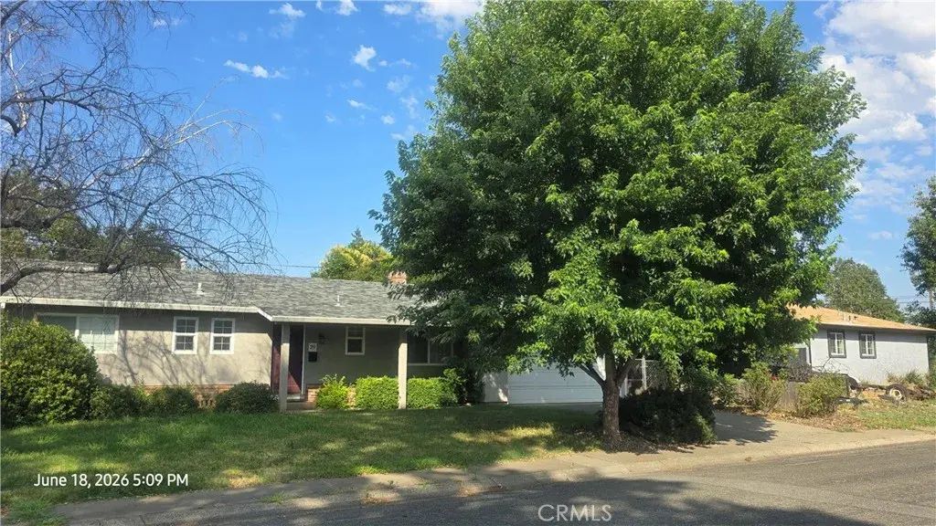 39 Franciscan, Chico