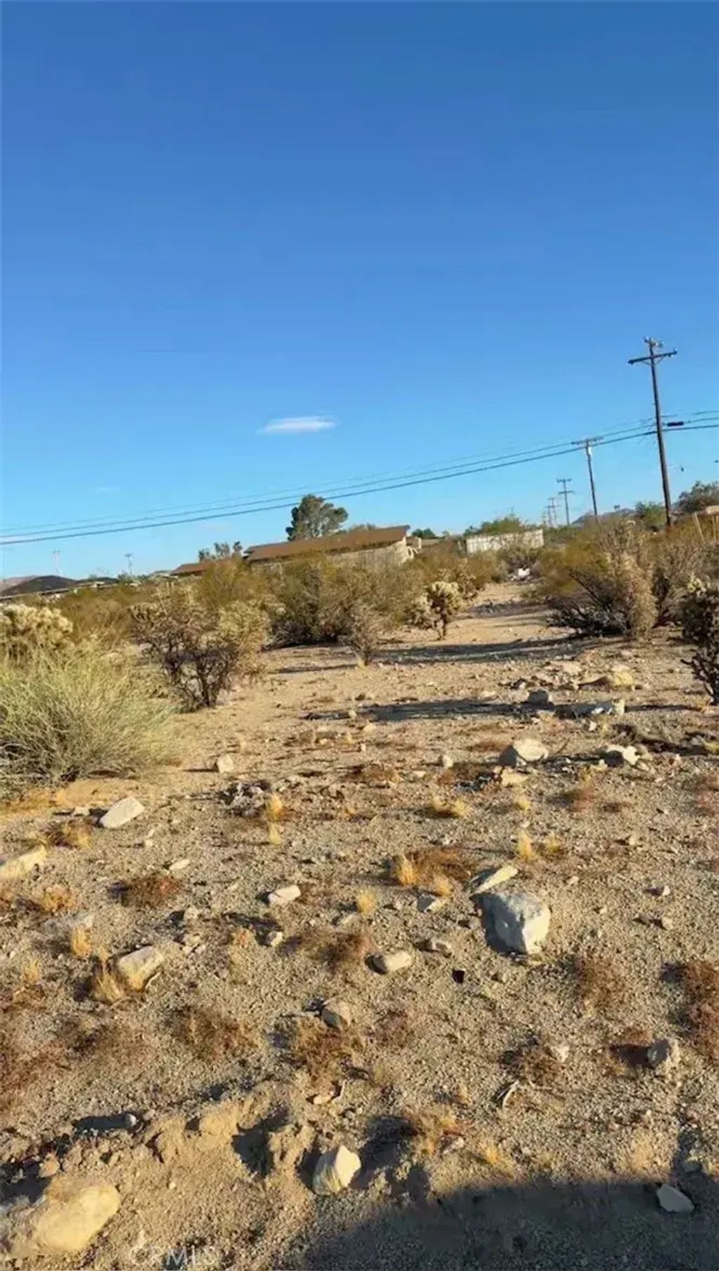 1 Baseline, 29 Palms