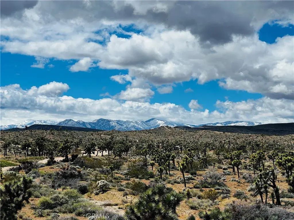 57864 Sunflower, Yucca Valley
