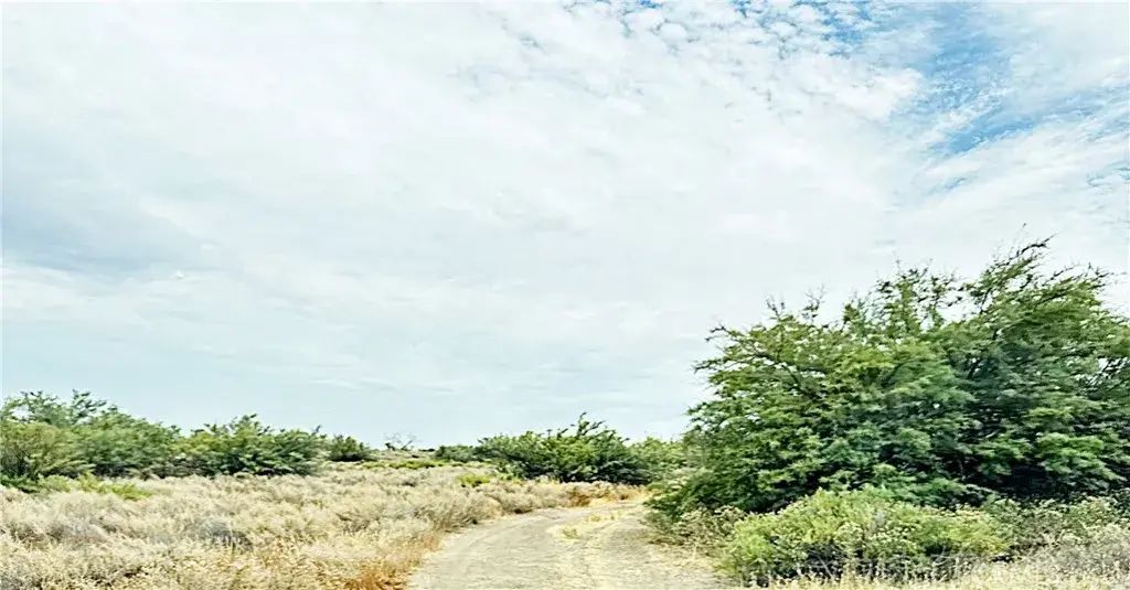 15 Kern River Canal, Buttonwillow