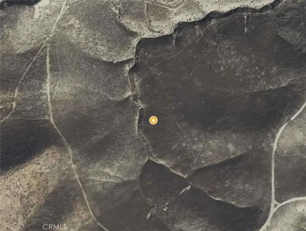 N/A, Fellows