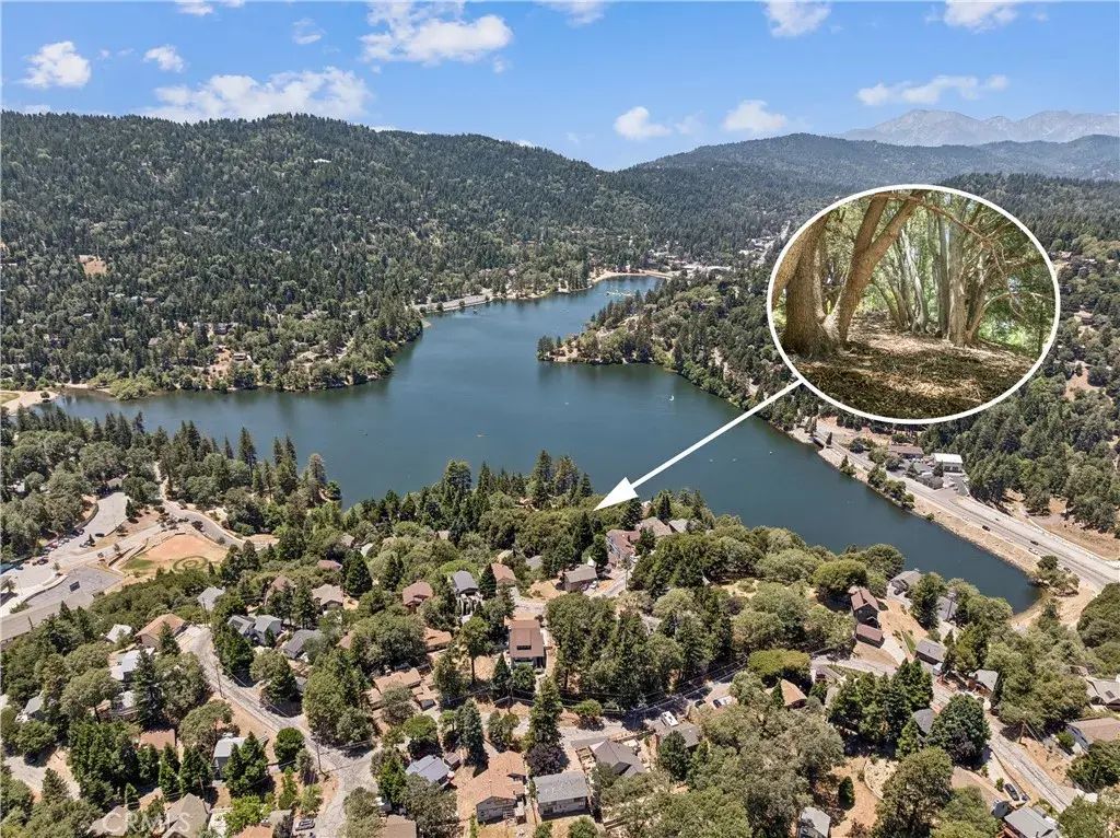 2727 Delle, Crestline
